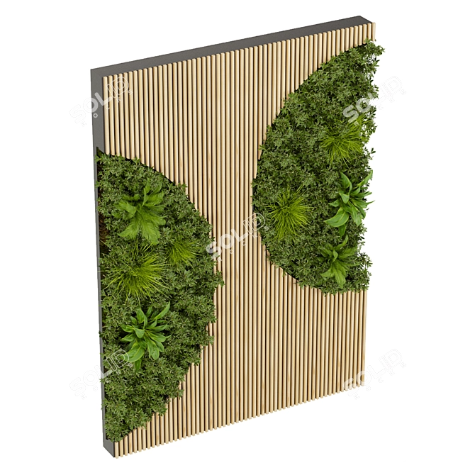 Premium Plant Collection 331: Fitowall Leaf 3D model image 2