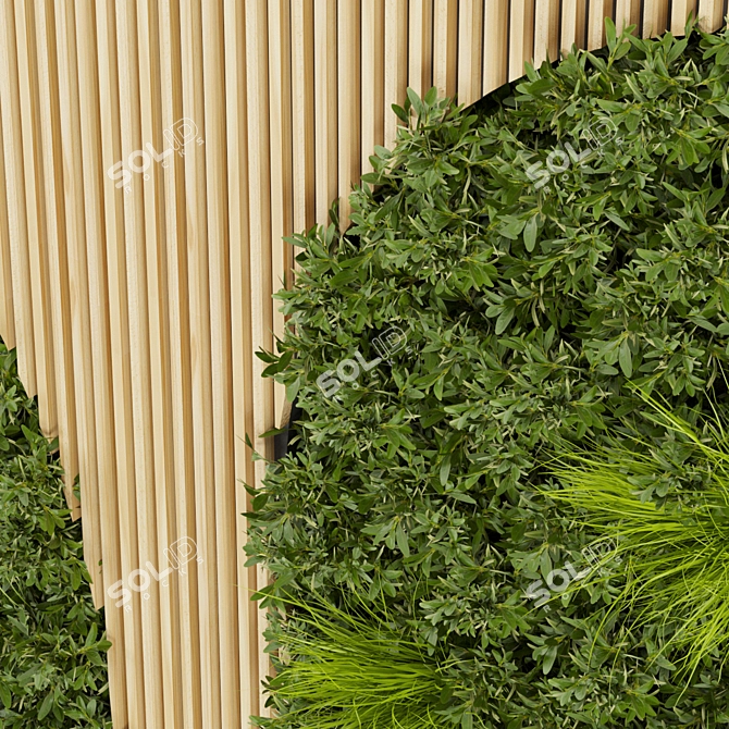 Premium Plant Collection 331: Fitowall Leaf 3D model image 3