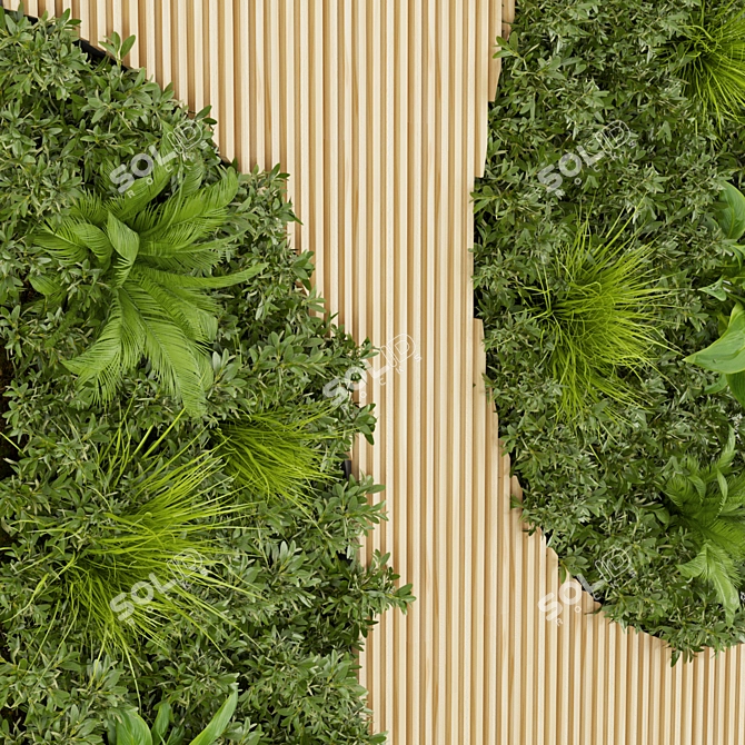 Premium Plant Collection 331: Fitowall Leaf 3D model image 4