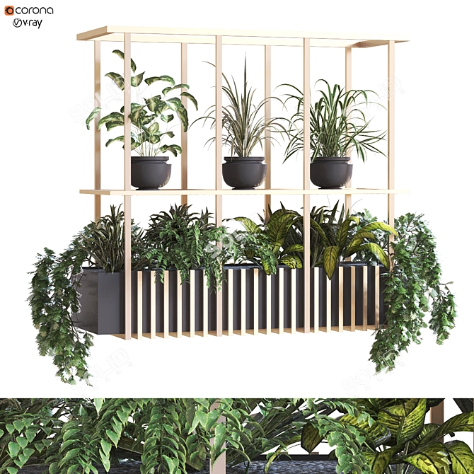 Modern Indoor Plant Set 2015 3D model image 1