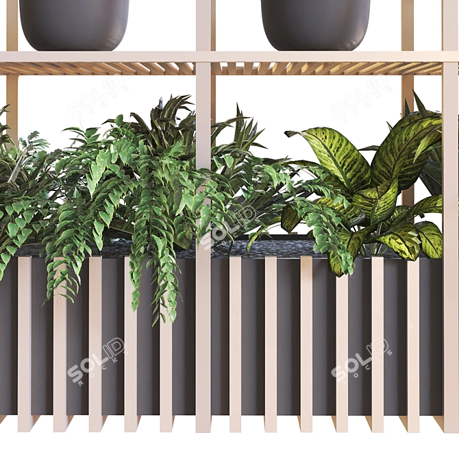 Modern Indoor Plant Set 2015 3D model image 2