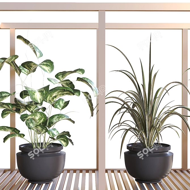 Modern Indoor Plant Set 2015 3D model image 4