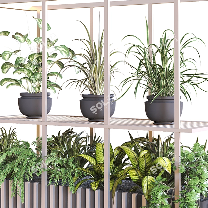 Modern Indoor Plant Set 2015 3D model image 5