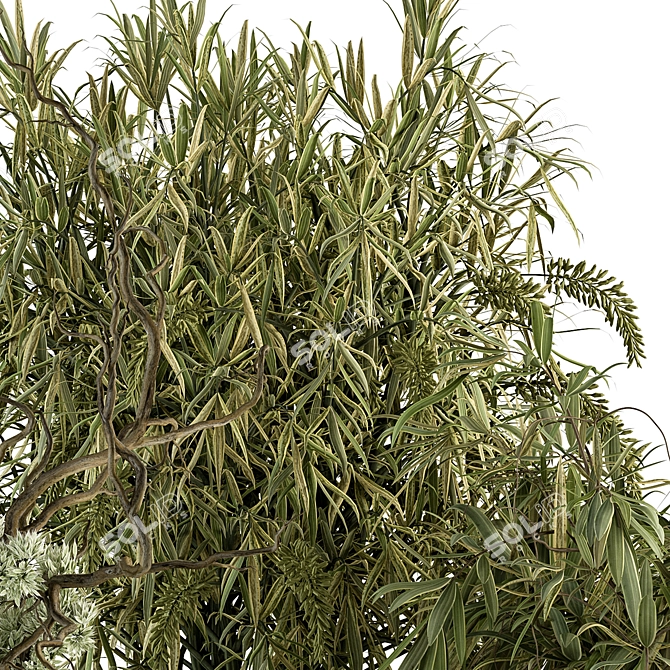 Green Branch Bouquet in Vase 3D model image 5