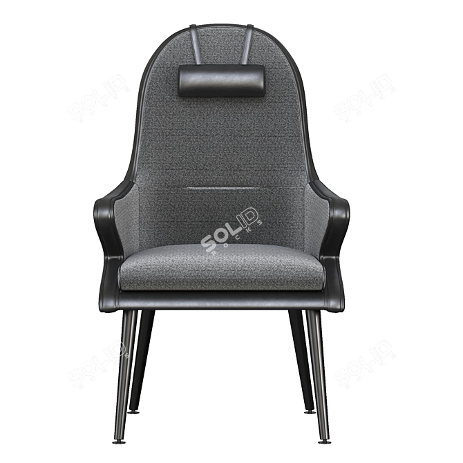 Kaia Lounge Chair 2015 Render 3D model image 2