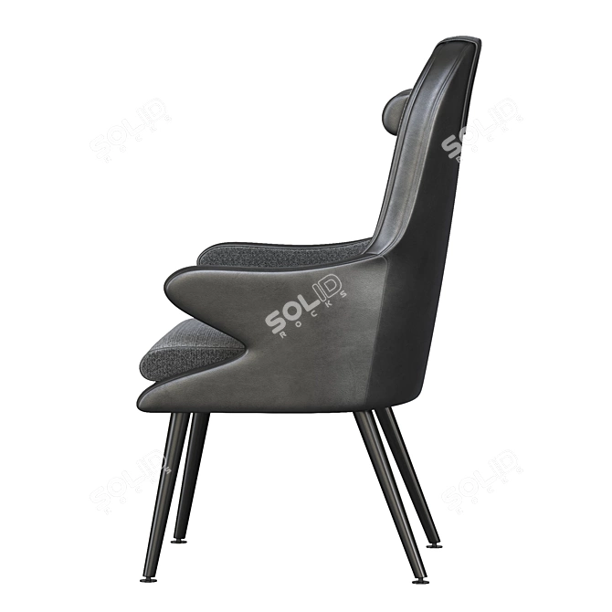 Kaia Lounge Chair 2015 Render 3D model image 4