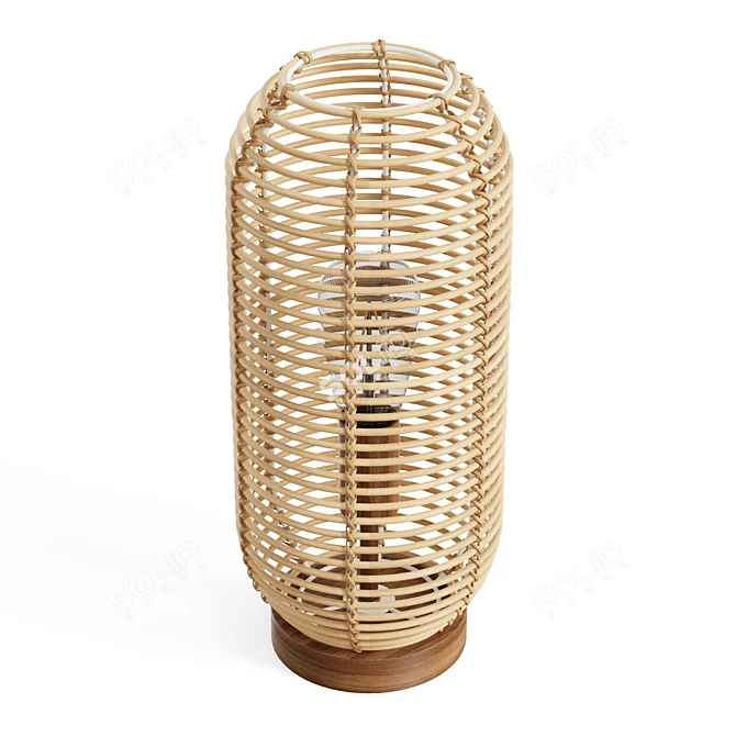 Boho Rattan Lantern Table Lamp 3D model image 1