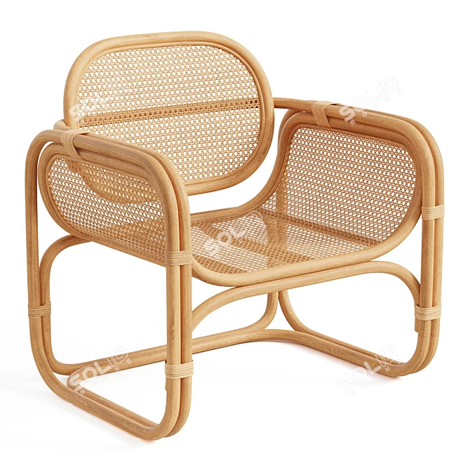 Modern Rattan Lounge Chair 3D model image 1