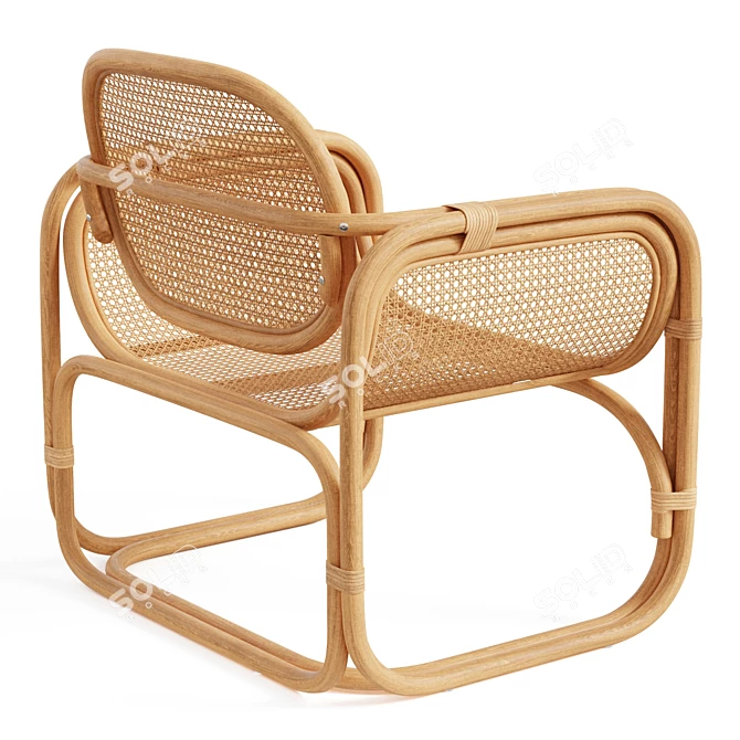 Modern Rattan Lounge Chair 3D model image 2