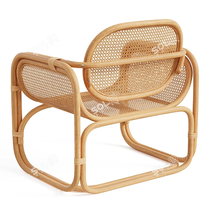 Modern Rattan Lounge Chair 3D model image 3