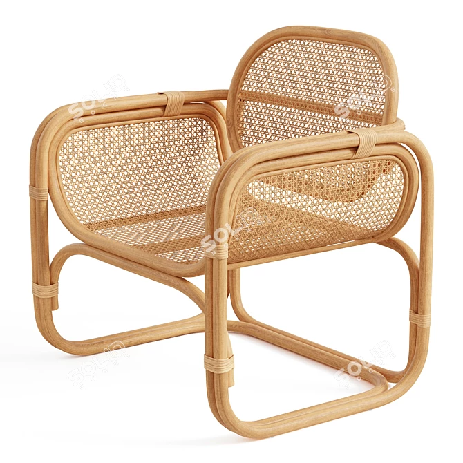 Modern Rattan Lounge Chair 3D model image 4