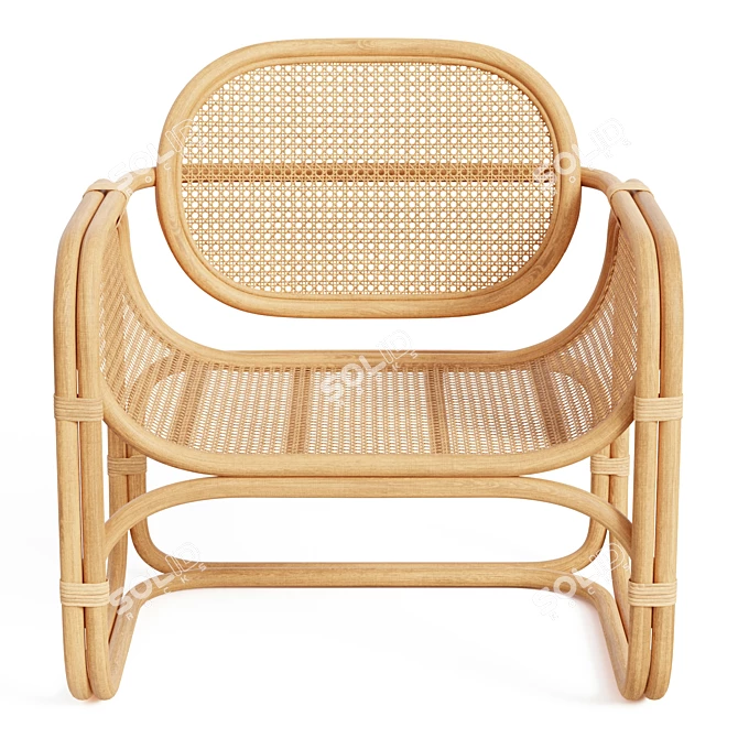 Modern Rattan Lounge Chair 3D model image 5