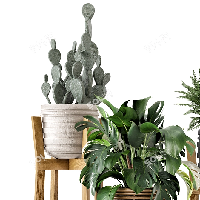 Rusty Concrete Pot Indoor Plants 3D model image 2