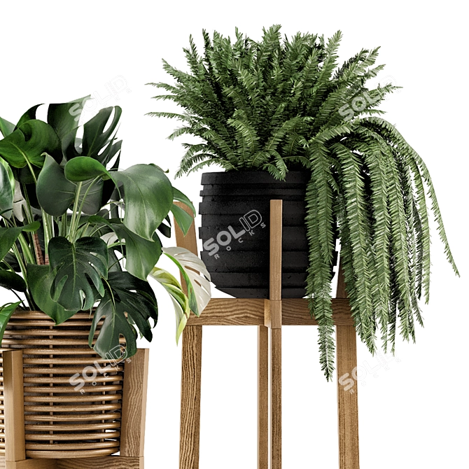 Rusty Concrete Pot Indoor Plants 3D model image 4