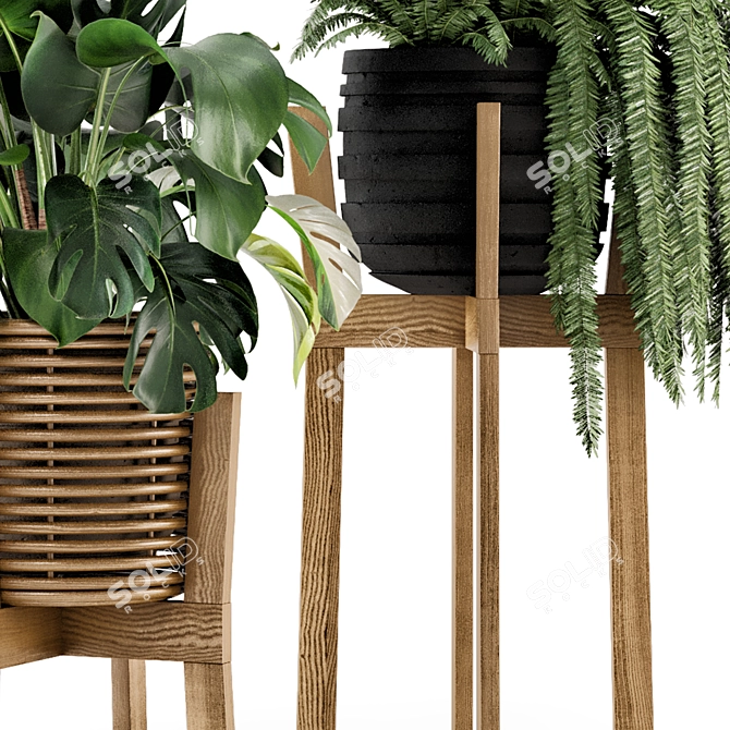 Rusty Concrete Pot Indoor Plants 3D model image 6