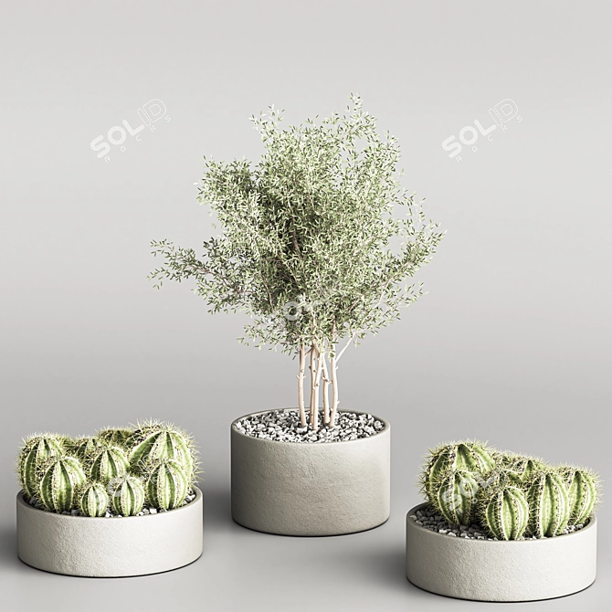Succulent Garden Décor Statue 3D model image 3