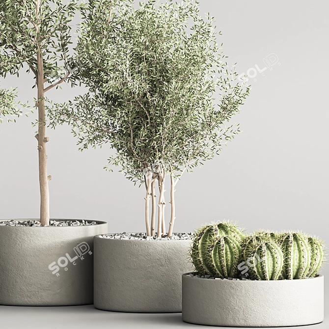 Succulent Garden Décor Statue 3D model image 4