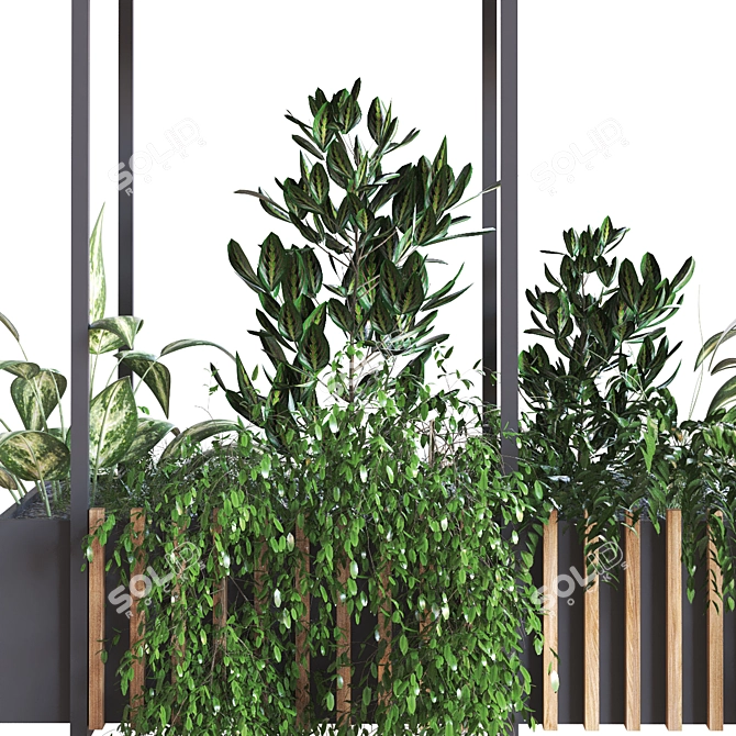 Modern Indoor Plant Set 278 3D model image 3