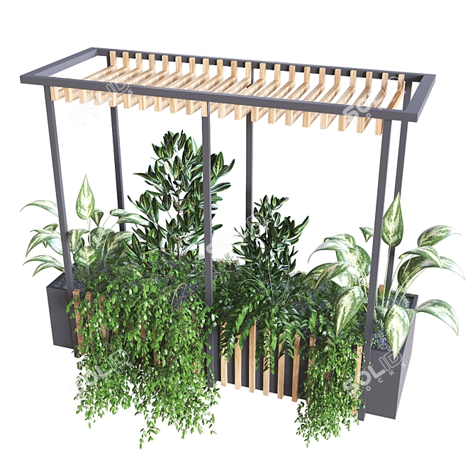 Modern Indoor Plant Set 278 3D model image 6