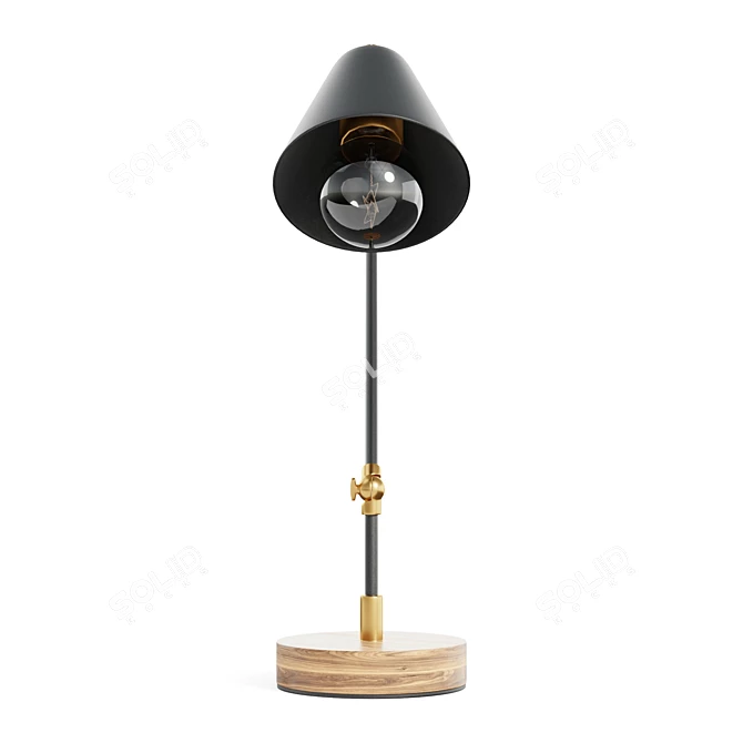 Adjustable Vintage Desk Lamp 3D model image 2