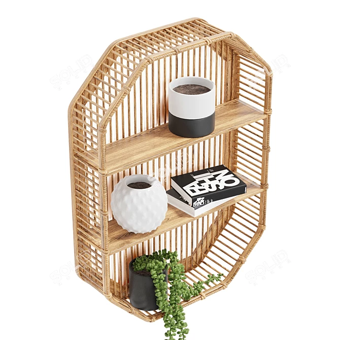 Boho Chic Bamboo Wall Shelf 3D model image 5