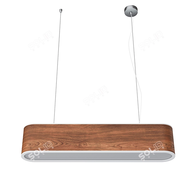  JUPITER Elliptical S Pendant Light 3D model image 4