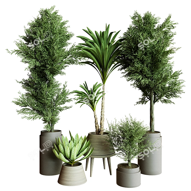 Collection_Indoor_Plant_61 3D Model 3D model image 1