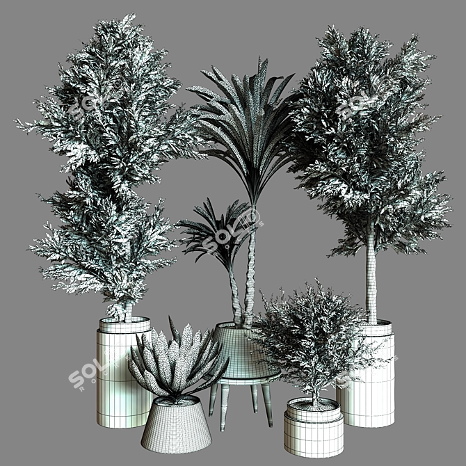 Collection_Indoor_Plant_61 3D Model 3D model image 4