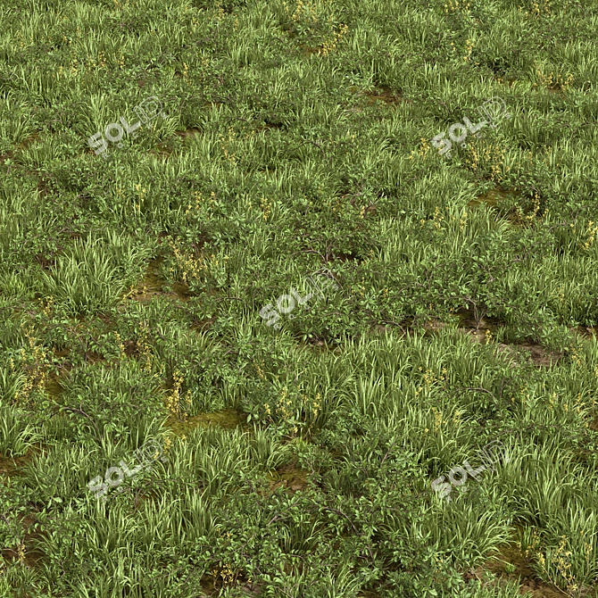 Mixed Grass Collection Pack 3D model image 1