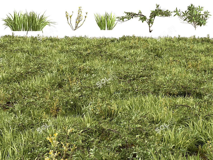 Mixed Grass Collection Pack 3D model image 2