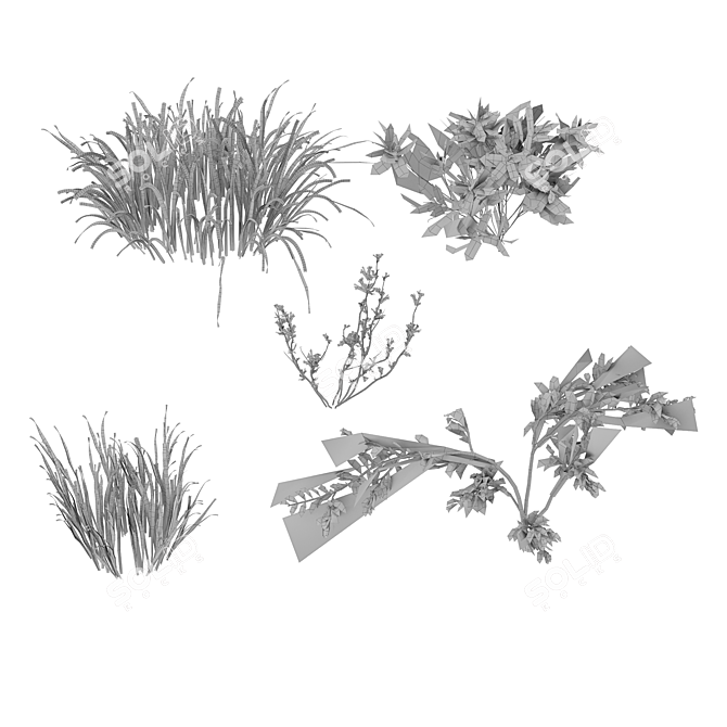 Mixed Grass Collection Pack 3D model image 3