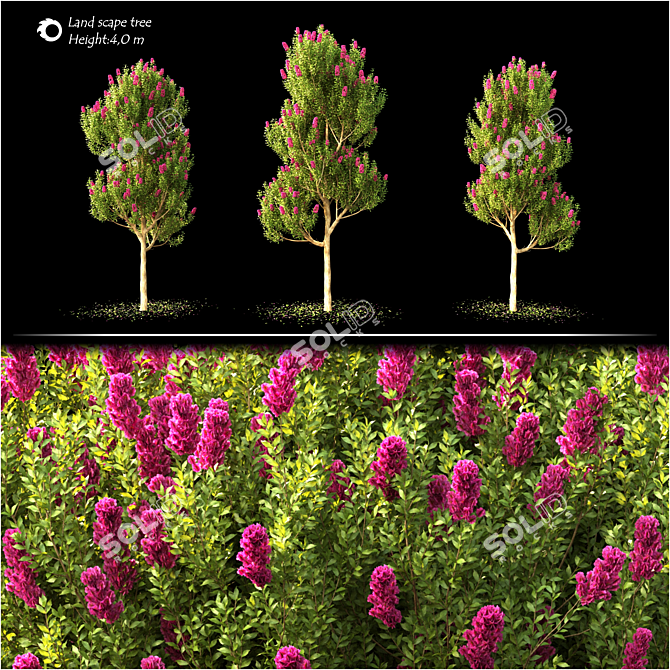 Corona Landscape Tree 2014 4.0m 3D model image 2