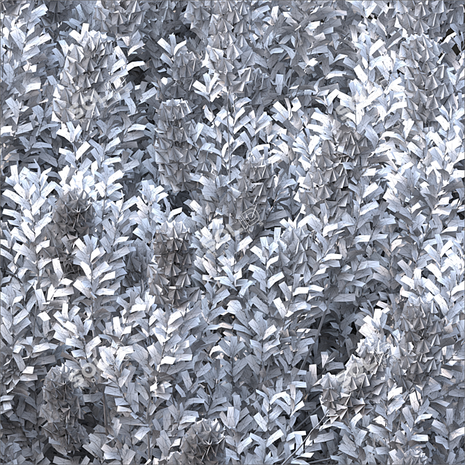 Corona Landscape Tree 2014 4.0m 3D model image 3