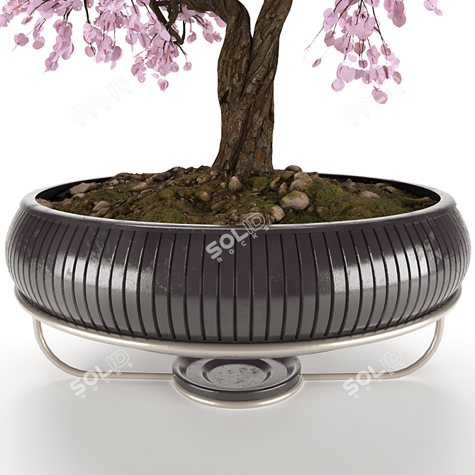 Serene Bonsai Tree Model 3D model image 2