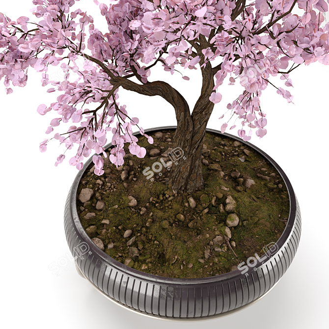 Serene Bonsai Tree Model 3D model image 3