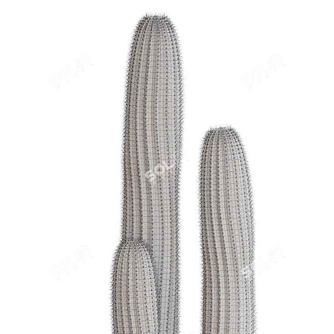 Botanical Bundle 699 Collection 3D model image 3