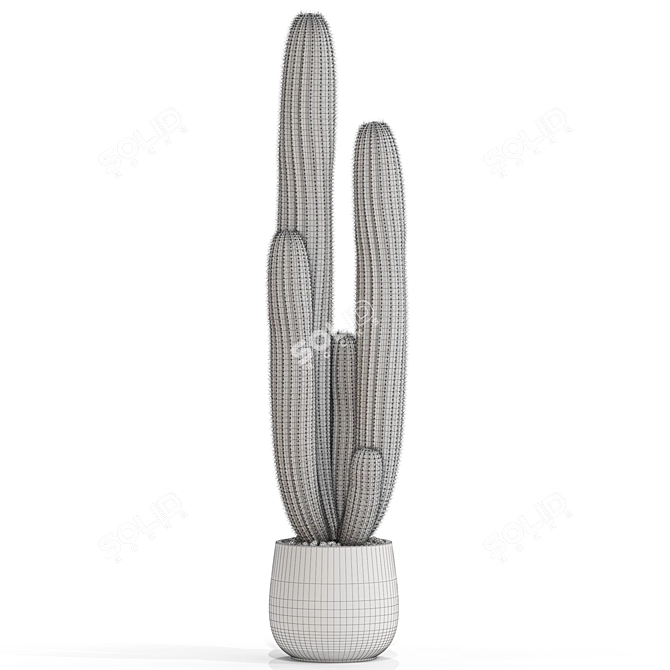 Botanical Bundle 699 Collection 3D model image 4