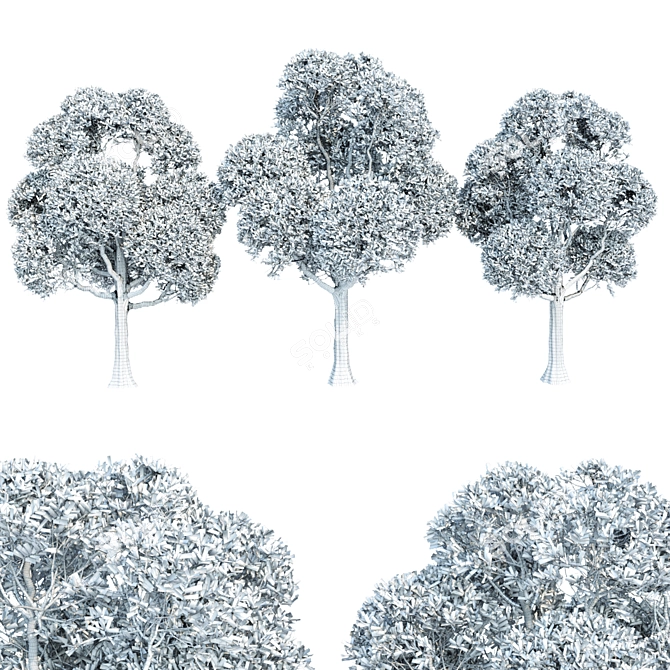 Premium Outdoor Trees Collection Vol.93 3D model image 5