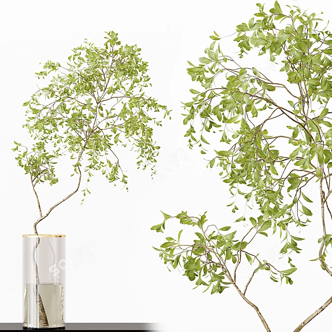 Premium Indoor Plants Model Set 3D model image 2