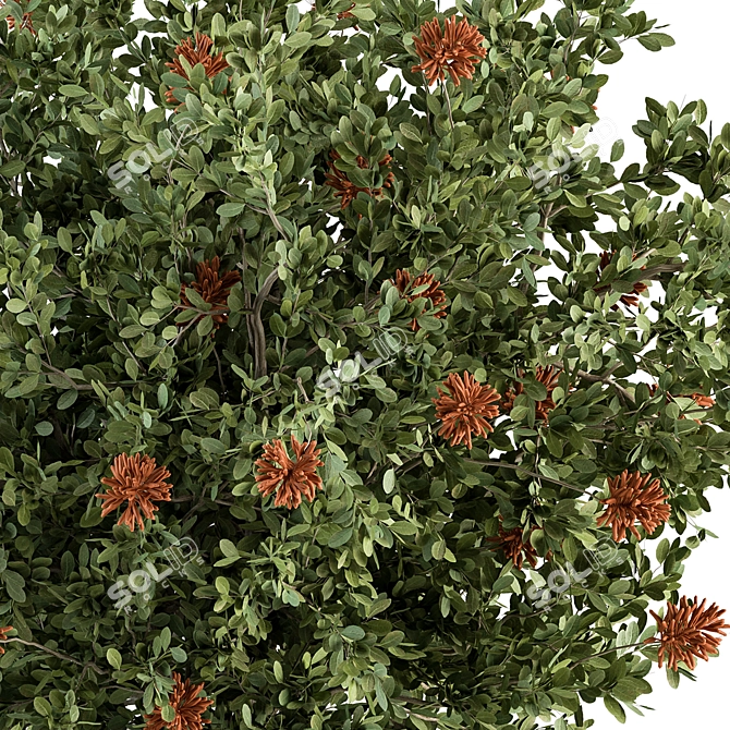  Blooming Bush Set 75 3D model image 2