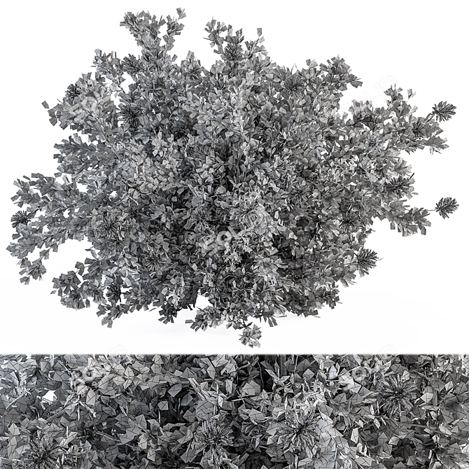  Blooming Bush Set 75 3D model image 3