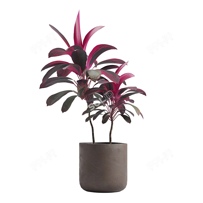 Exotic Indoor Plants Pack 14 3D model image 6