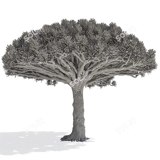 Dragon Tree 3D Model Asset 3D model image 3