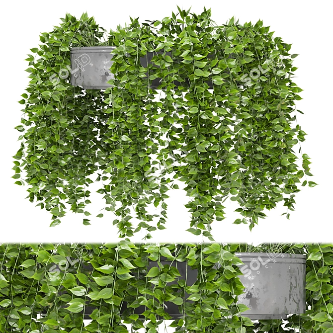 Metal Box Indoor Hanging Plants 3D model image 1