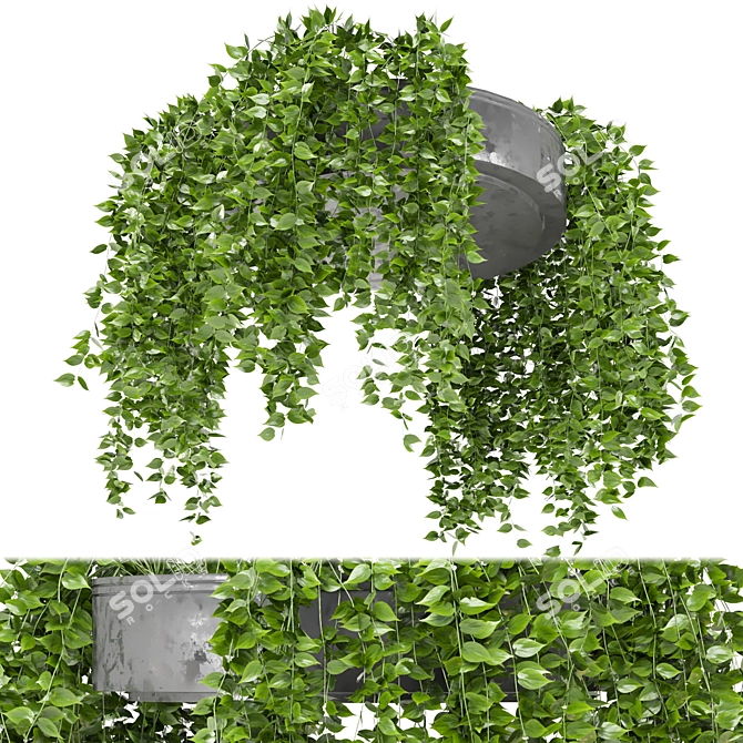 Metal Box Indoor Hanging Plants 3D model image 2