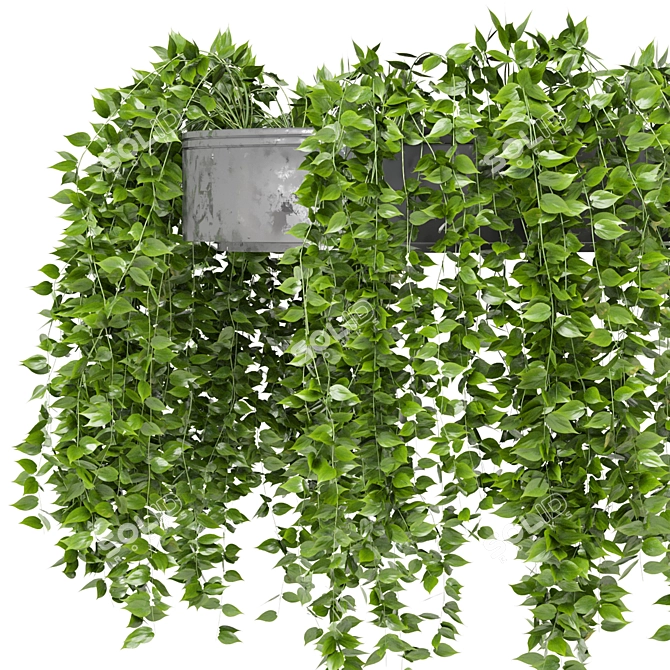 Metal Box Indoor Hanging Plants 3D model image 3