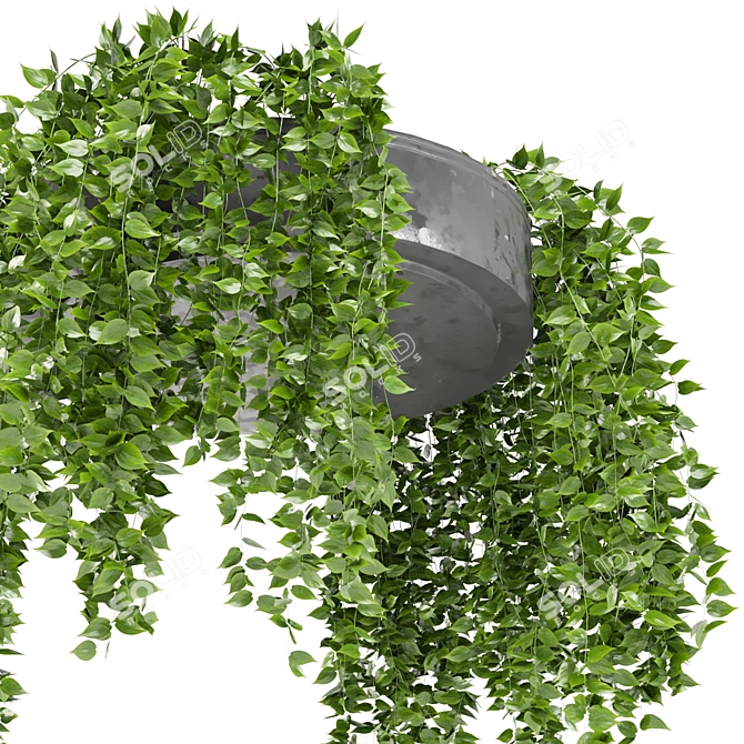 Metal Box Indoor Hanging Plants 3D model image 4