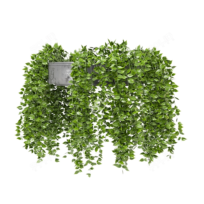 Metal Box Indoor Hanging Plants 3D model image 5