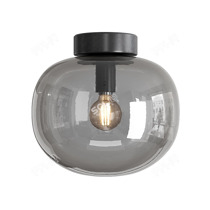 Contemporary Alton Ceiling Light 3D model image 3