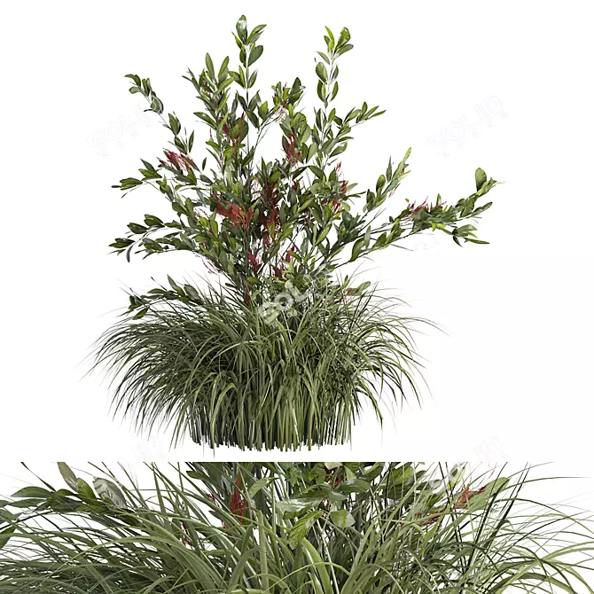 Sleek Bush No 3 Model 3D model image 1